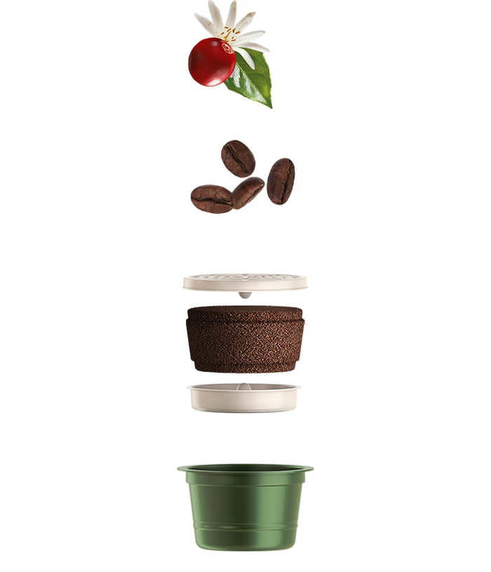 tech capsules